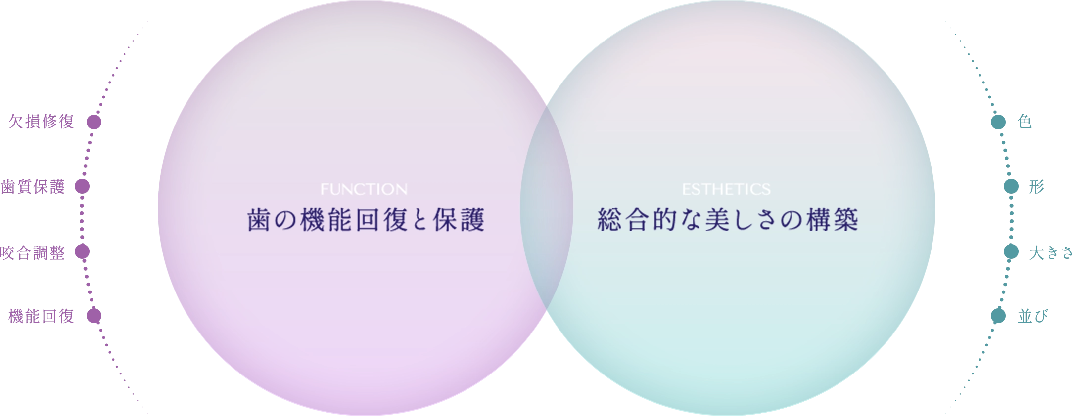歯の機能回復と保護、総合的な美しさの構築